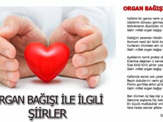 organ-nakli-ile-ilgili-şiir