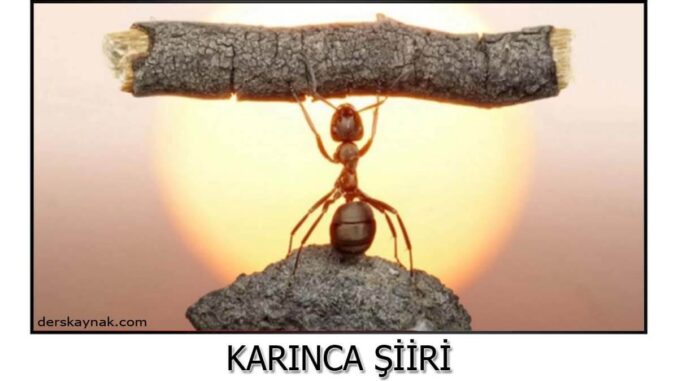 karınca-şiiri karınca-ile-ilgili-şiirler