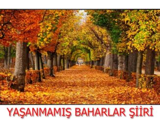 yaşanamamış-baharlar-şiiri