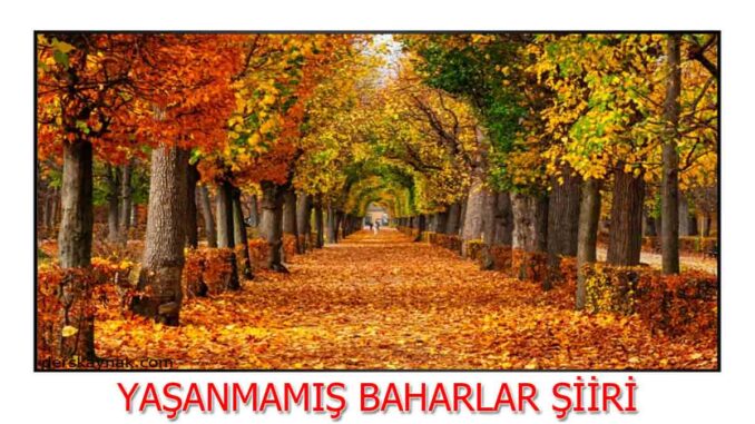 yaşanamamış-baharlar-şiiri