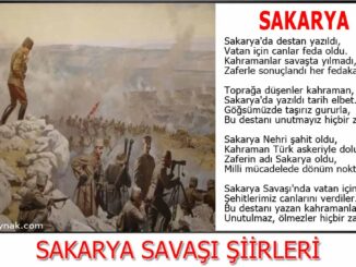Sakarya-meydan-muharebesi-ile-ilgili-şiirler
